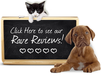 Click here to see our Rave Reviews!